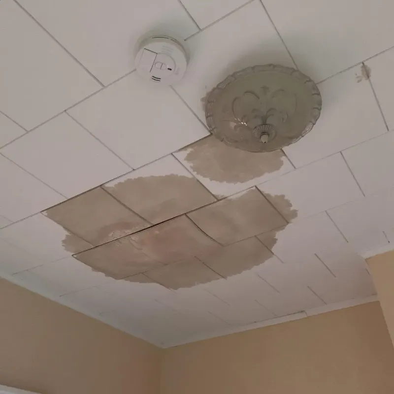 Ceiling Water Damage Repair in Waterford, PA