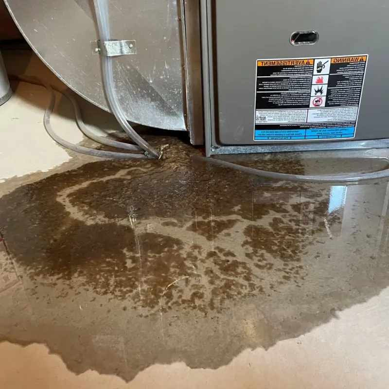 Pipe Burst and Leak Restoration in Waterford, PA