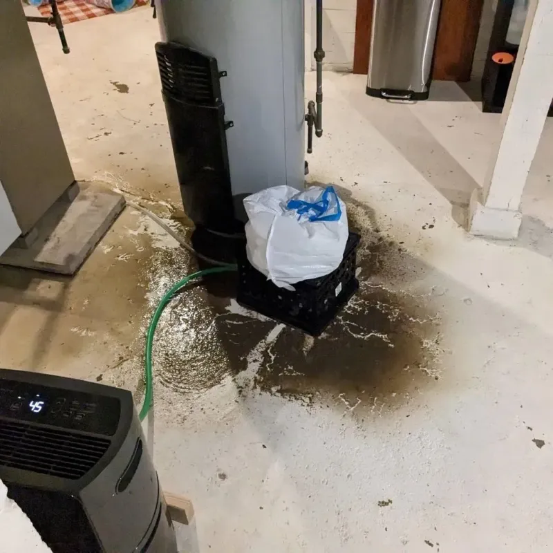 Sewage Backup Cleanup Service in Waterford, PA